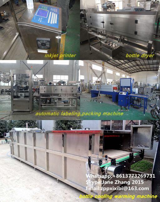 Linha de produção asséptica produto comestível da máquina/do engarrafamento de engarrafamento do vidro de leite SS304 4
